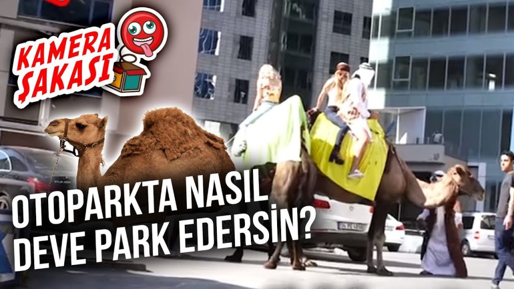 Otoparkta Nasıl Deve Park Edersin