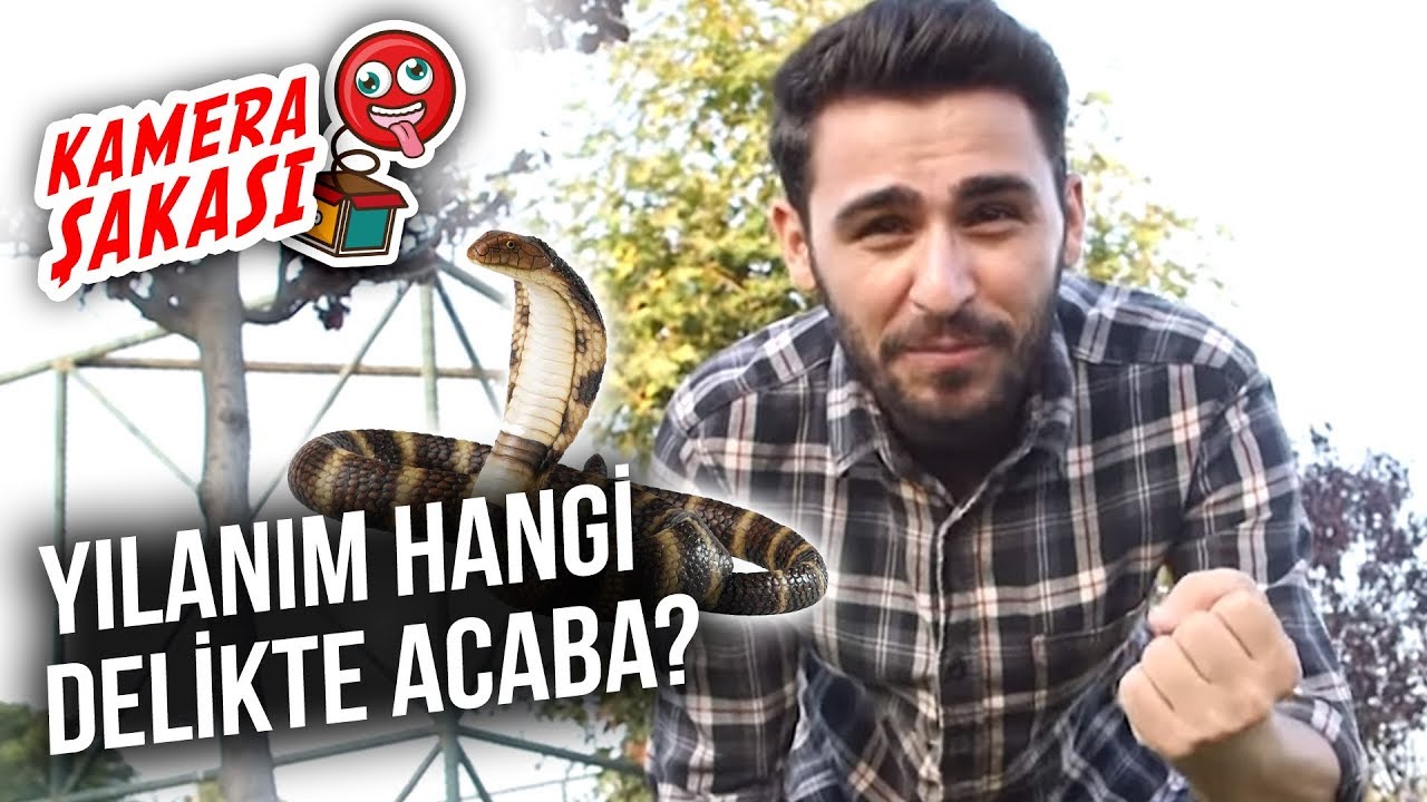 Yılanım Hangi Delikte Acaba?